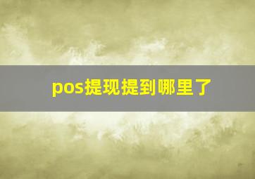 pos提现提到哪里了