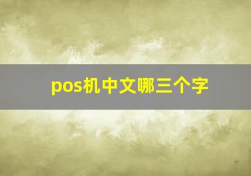 pos机中文哪三个字