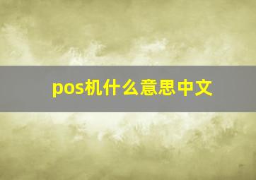 pos机什么意思中文