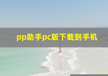 pp助手pc版下载到手机