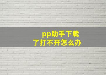 pp助手下载了打不开怎么办