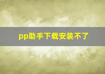 pp助手下载安装不了