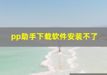 pp助手下载软件安装不了