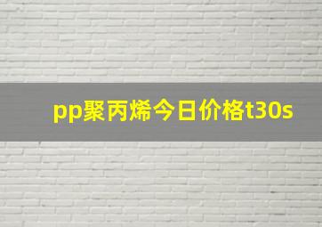 pp聚丙烯今日价格t30s