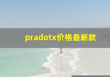 pradotx价格最新款