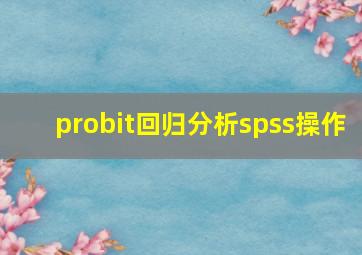 probit回归分析spss操作