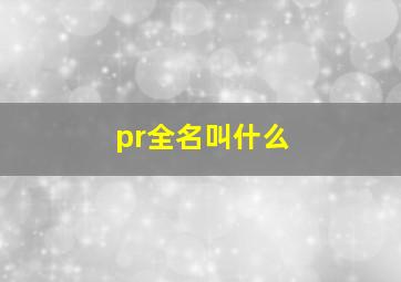 pr全名叫什么