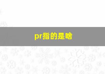 pr指的是啥