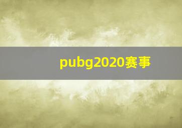 pubg2020赛事