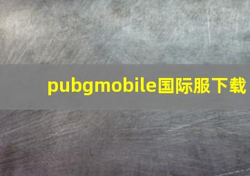 pubgmobile国际服下载