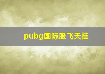 pubg国际服飞天挂