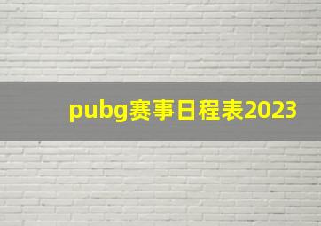 pubg赛事日程表2023