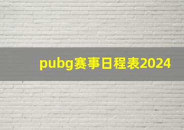 pubg赛事日程表2024