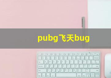 pubg飞天bug