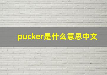 pucker是什么意思中文