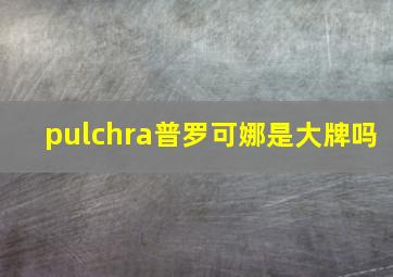 pulchra普罗可娜是大牌吗