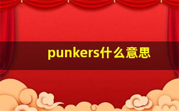 punkers什么意思