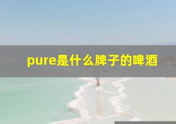 pure是什么牌子的啤酒