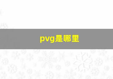 pvg是哪里