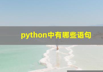 python中有哪些语句