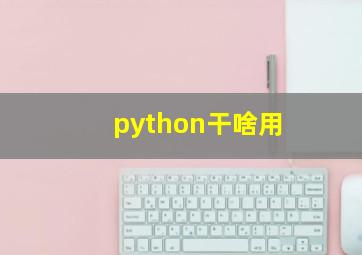 python干啥用