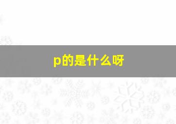 p的是什么呀