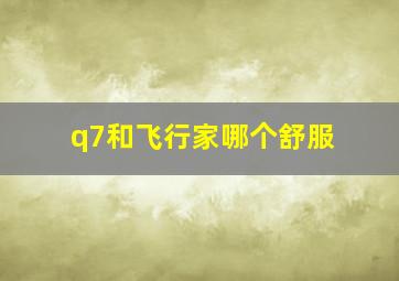 q7和飞行家哪个舒服