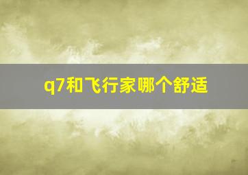 q7和飞行家哪个舒适