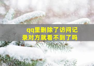 qq里删除了访问记录对方就看不到了吗