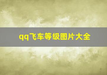 qq飞车等级图片大全