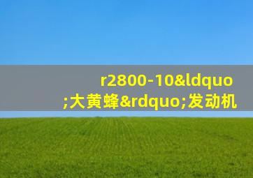 r2800-10“大黄蜂”发动机