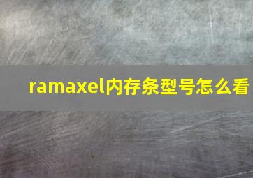 ramaxel内存条型号怎么看