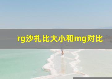 rg沙扎比大小和mg对比