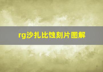 rg沙扎比蚀刻片图解