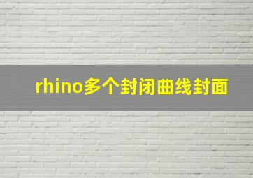 rhino多个封闭曲线封面