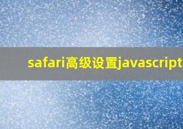 safari高级设置javascript