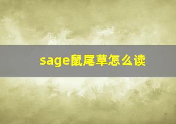 sage鼠尾草怎么读