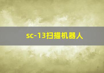 sc-13扫描机器人