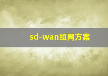 sd-wan组网方案