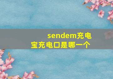 sendem充电宝充电口是哪一个