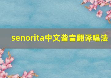 senorita中文谐音翻译唱法