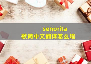 senorita歌词中文翻译怎么唱