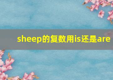 sheep的复数用is还是are