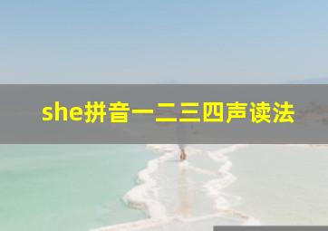 she拼音一二三四声读法