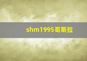 shm1995哥斯拉