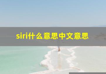 siri什么意思中文意思