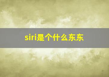 siri是个什么东东