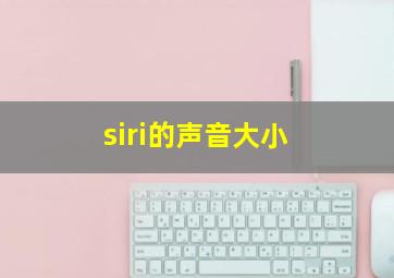 siri的声音大小