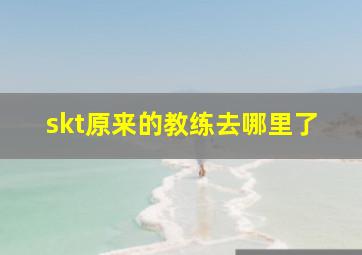 skt原来的教练去哪里了