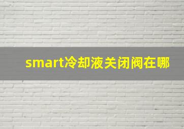 smart冷却液关闭阀在哪